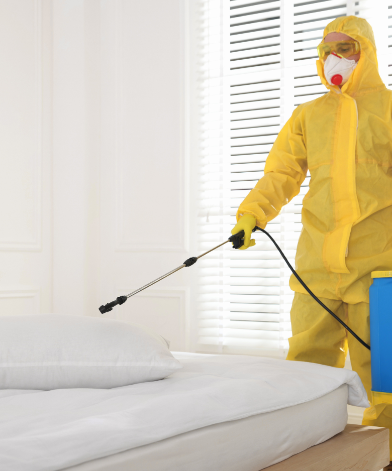 Professional Pest Control Team in Gawler West